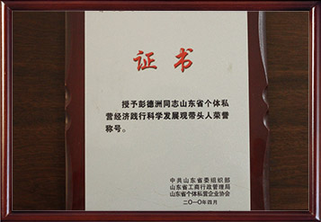 2008年山東省個體私營經濟踐行科學發展觀帶頭人