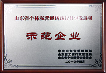 2010年山東省個體私營經濟踐行科學發展觀示范企業